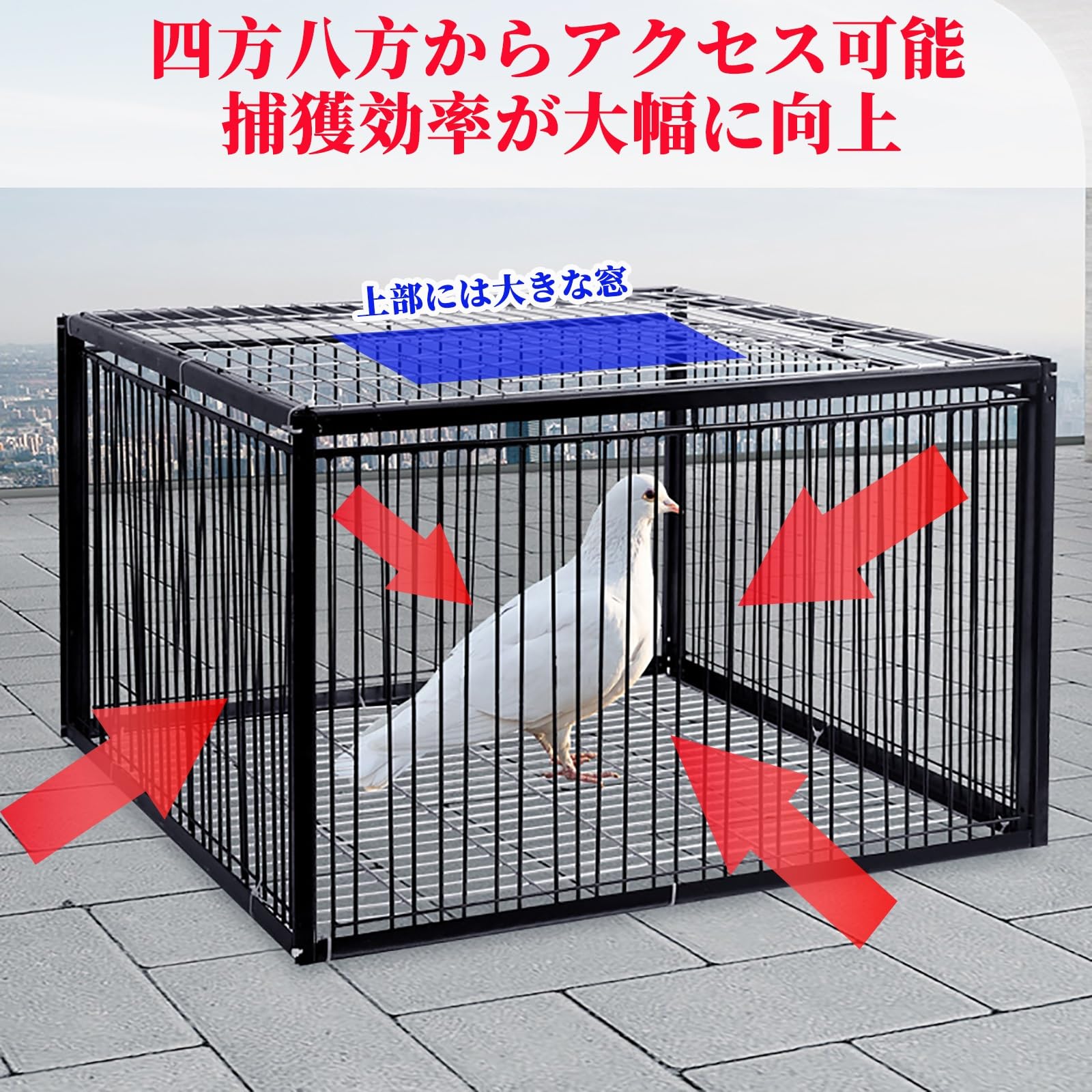 Amazon.co.jp: NEONMAN 鳩かご 鶏のケージ 鳥トラップ 鳩捕り籠 屋外鳩